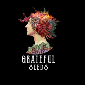 Grateful Seeds - MELON MADNESS